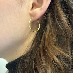 Elegant Gold Hoop Earrings